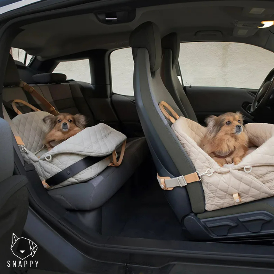 Bag per Cani & Gatti