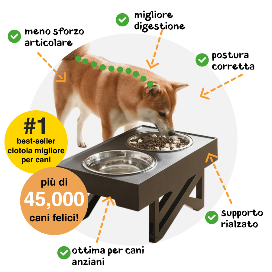 Ciotola Posturale Snappy™ per la salute e il benessere del tuo cane