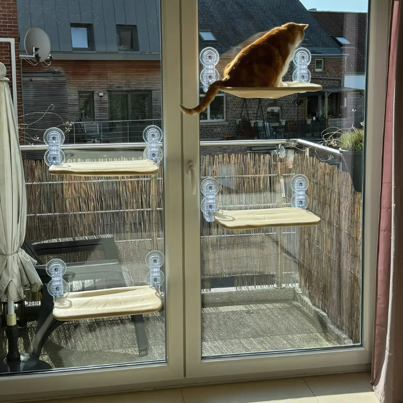 FelineSky: Relax con Vista per Gatti